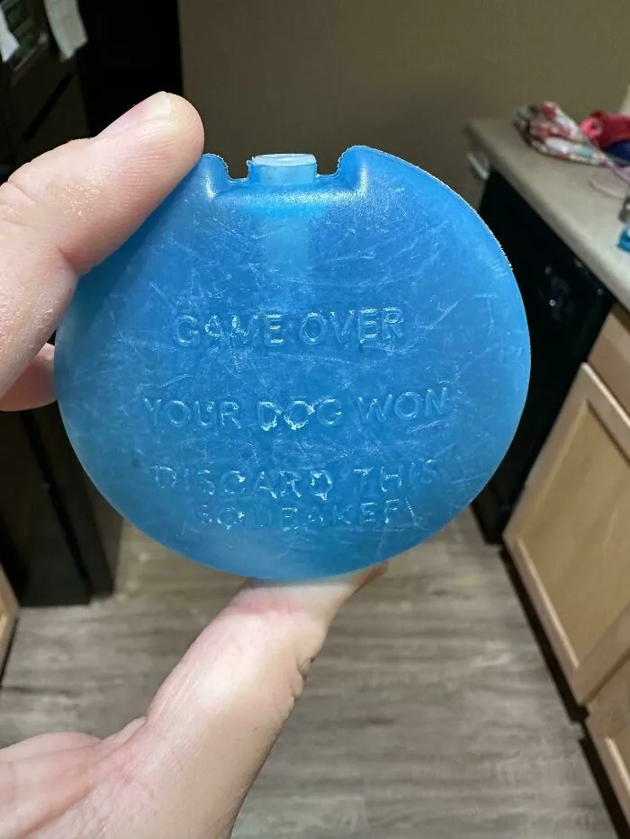 My Dog Ripped Open His Chew Toy And This Was Written On The Squeaker