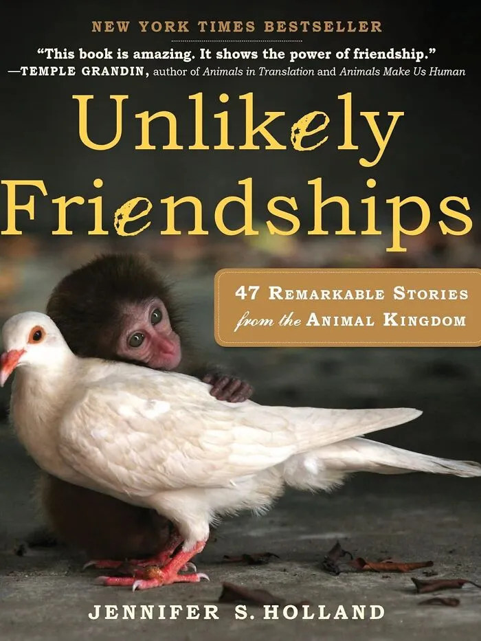   <a Style="Display:inline;" Href="Https://Www.amazon.com/Unlikely-Friendships-Remarkable-Stories-Kingdom/Dp/0761159134?crid=3qpfuu3be28kw&dib=eyj2ijoimsj9.gbcr-Bxjhvu4ueqdqijxze2n2crn9xnusnv-H-Fl3lxgjhj071qn20lucgbjieps.idc_yhvwhk7rtpeiu595kijge8p0k-Geeokr6lgjyo4&dib_tag=se&keywords=unlikely+friendships%3a+47+remarkable+stories+from+the+animal+kingdom&qid=1728889546&sprefix=unlikely+friendships+47+remarkable+stories+from+the+animal+kingdom%2caps%2c232&sr=8-1&linkcode=ll1&tag=bpcrab-20&linkid=394b6d4aee317c71412a78bfc31978cd&language=en_us&ref_=as_li_ss_tl" Target="_blank"><span Style="Font: Inherit; Color: #d74b1f;"> "Unlikely Friendships: 47 Remarkable Stories From The Animal Kingdom" </Span> Will Have You Going Wild For Love And Friendship – Even The Kind That's Not Toxic, Unlike The Stuff Your Aunt's Gossiping About At The Family Reunion In Two Stalls Over!