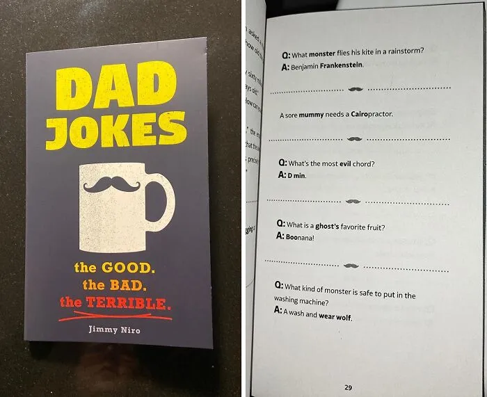 This Book Of <span Style="Font: Inherit; Color: #d74b1f;"> "Dad Jokes: Over 600 Of The Best (Worst) Jokes Around" </Span> Will Give You Another Reason To Groan While On The John