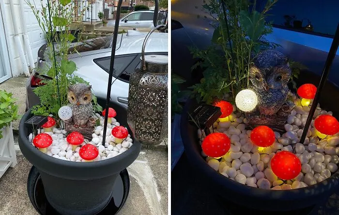 Sprout Some Whimsy In Your Yard With These Delightful   <a Style="Display:inline;" Href="Https://Www.amazon.com/Abkshine-Waterproof-Landscape-Halloween-Decorations/Dp/B09lqbzsqg?crid=1wo6u5qf1zb6r&dib=eyj2ijoimsj9.odkkpxnca276zlvspye9qapbatpomspklksx4lgiux2qrri2sg7b_ry_rv76pndbdyo9ghciyvs0dzmbee28b_wytxio9p-Tkp-Bsiyelnqxkyemkno8qdjxpyldelhrze-Q9vufoejbw5sgqczsmpepv2i8y8pseprjoqh94m74hbpa4ifj57tgkkdz30myypeeq3t753gcagsqou55tbkiqjpasmch70nwhhqxkdmktdm5bynqjbx-Hd5jlraola0xnbn06yg277ednii8lka-Uxow8a8ozeboq5arohg.xhz9-Xqdxgbifkz2d8sviibm03d83tz4xfx0aopw-S4&dib_tag=se&keywords=autumn%2boutdoor%2bdecor&qid=1728908845&sprefix=autumn%2boutdoor%2bdeco%2caps%2c201&sr=8-12-Spons&sp_csd=d2lkz2v0tmftzt1zcf9tdgy&th=1&linkcode=ll1&tag=bpcamel-20&linkid=abc219563056c199cc42cce0e40d940a&language=en_us&ref_=as_li_ss_tl" Target="_blank"><span Style="Font: Inherit; Color: #d74b1f;"> Waterproof Solar Mushroom Lights </Span>
