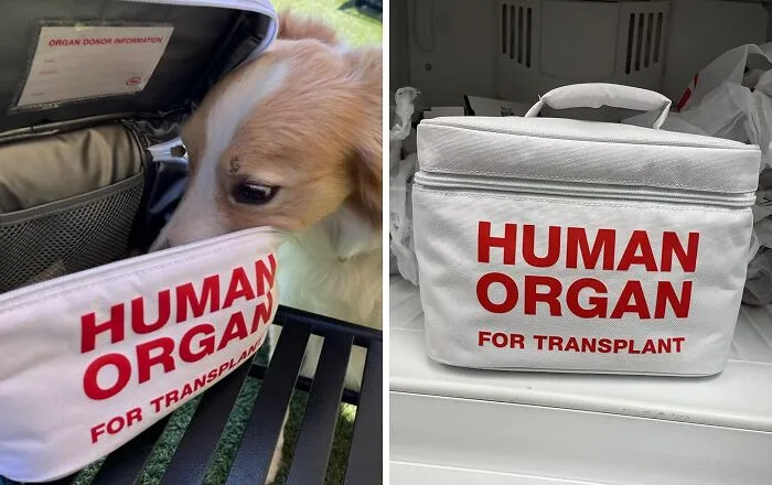 A Mealtime Companion That's Equal Parts Morbid And Mundane, The   <a Style="Display:inline;" Href="Https://Www.amazon.com/Fred-M-T-Emergency-Transport-Insulated/Dp/B007m2ohey?ascsubtag=01927170c3b278858714329f85b4a005%7cc930e1ad-Adf0-425e-999a-B21798267c61%7cdtp%7ccn&linkcode=ll1&tag=bpseal-20&linkid=8d392f81dace3666a444087606dbfdbc&language=en_us&ref_=as_li_ss_tl" Target="_blank"><span Style="Font: Inherit; Color: #d74b1f;"> Human Organ Transplant Lunch Box </Span> Packages Your Daily Sustenance In The Most Eerie Way