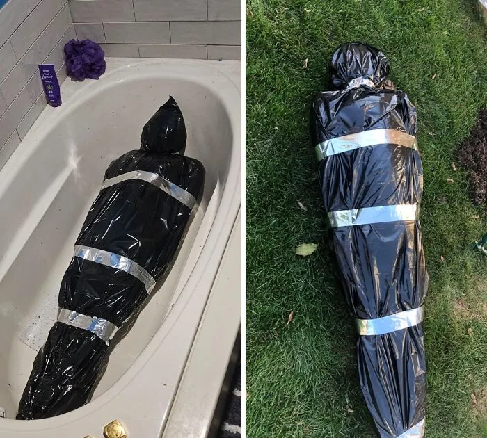Traumatize Your Friends And Family With This   <a Style="Display:inline;" Href="Https://Www.amazon.com/Halloween-Decorations-Dead-Victim-Props/Dp/B0b38qf4v7?pd_rd_w=xyyq9&content-ID=amzn1.sym.751acc83-5c05-42d0-A15e-303622651e1e&pf_rd_p=751acc83-5c05-42d0-A15e-303622651e1e&pf_rd_r=p6p8yfjs3jpw7rh7d96w&pd_rd_wg=jj9gx&pd_rd_r=fdc5d040-1912-4011-9c3a-E3b64e7b988a&pd_rd_i=b0b38qf4v7&psc=1&linkcode=ll1&tag=bpseal-20&linkid=bf16412210ffd90a0f2a607bd3fb585d&language=en_us&ref_=as_li_ss_tl" Target="_blank"><span Style="Font: Inherit; Color: #d74b1f;"> Fake Corpse In A Body Bag </Span> That's So Realistic, It'll Make Them Question Whether You've Finally Snapped And Committed A Heinous Crime
