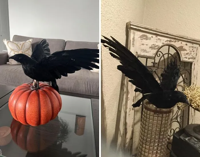 Perched In Silence, The   <a Style="Display:inline;" Href="Https://Www.amazon.com/Imosa-Halloween-Realistic-Feathered-Decoration/Dp/B075k5fqnl?ascsubtag=019271722d047885871561dde698e807%7cc930e1ad-Adf0-425e-999a-B21798267c61%7cdtp%7ccn&th=1&linkcode=ll1&tag=bpseal-20&linkid=9d42488fd16757dabeb5f5de56f49e23&language=en_us&ref_=as_li_ss_tl" Target="_blank"><span Style="Font: Inherit; Color: #d74b1f;"> Realistic Crow </Span> Exudes An Air Of Mournful Intelligence, Its Black Feathers Seeming To Absorb The Light Around It, Leaving Only An Unsettling Sense Of Foreboding