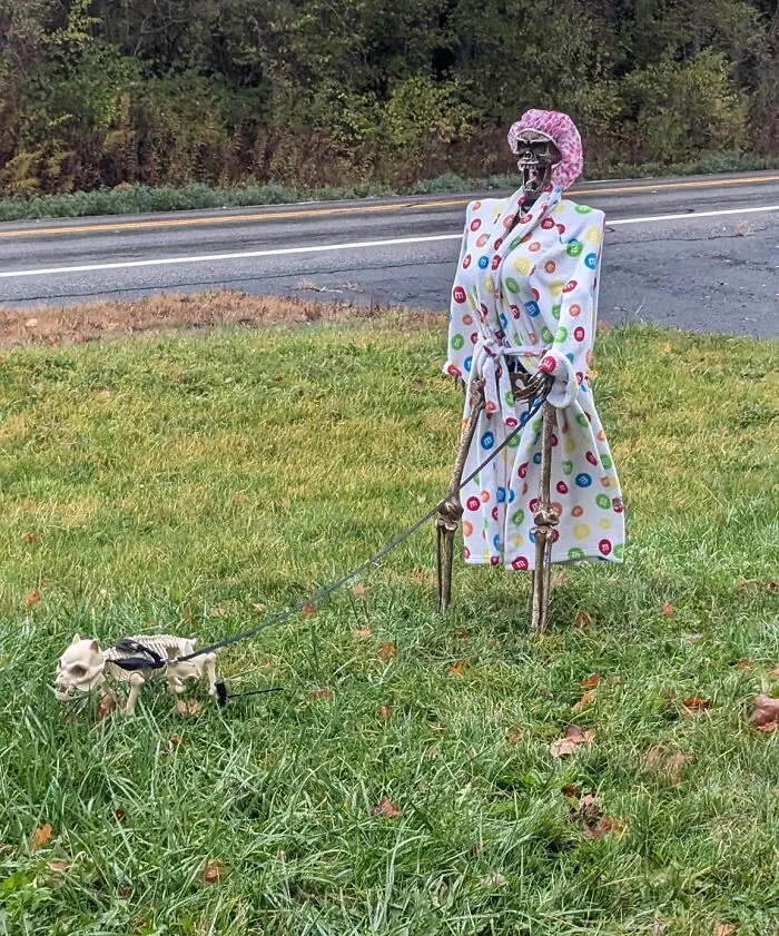 30 Times People Went Above And Beyond When It Came To Decking Out Their Lawn For Halloween