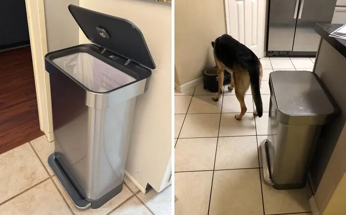 Tired Of Cleaning Up After Your Pet's Midnight Snack Raids? This <span Style="Font: Inherit; Color: #d74b1f;"> Step Trash Can</Span> Is The Perfect Way To Keep Your Trash Out Of Reach And Your Floors Clean