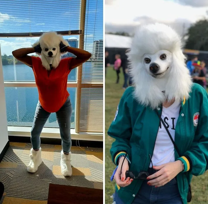A Canine Visage Contorted Into A Grotesque Parody Of Elegance, The   <a Style="Display:inline;" Href="Https://Www.amazon.com/Creepyparty-Deluxe-Halloween-Costume-Underdog/Dp/B015psirw4?crid=3btbcr1gnc0ut&dib=eyj2ijoimsj9.fykvy1br9_ru-Zdvfs9yabz8lw1xit1o85t00q12wz0ckkfefxuqgasogfaizbuu9hdxzos5htparodah0wetfd2hrflw8wchdt1ifhig6czm1fryntpms8jkofvspqr0es9l6l6zl4dka1ej5arhx_ifvkgqo4qoz8bc4ehacn4h3-G78bvvynsrbznecxmil_bv8vhhgurgtw88ngiaaetz1-Jm-_5xxnpvfwhl3xfka6hhuefw0qbm3ikpfo7fa2etexmpzjpw0mw71nqsx9xxixlsbyimvfgngsra4a.k3ejtnd3wk8xu6t3rvd0wqtyjwjq6dtkqc-K4rfsnk4&dib_tag=se&keywords=unsettling+items&qid=1728482506&sprefix=unsettling+items%2caps%2c190&sr=8-12&linkcode=ll1&tag=bpseal-20&linkid=e6897aecf83ceeed9d1ebe163487128e&language=en_us&ref_=as_li_ss_tl" Target="_blank"><span Style="Font: Inherit; Color: #d74b1f;"> Creepy Dog Head Poodle Mask </Span> Leers At You With An Unblinking, Soulless Gaze
