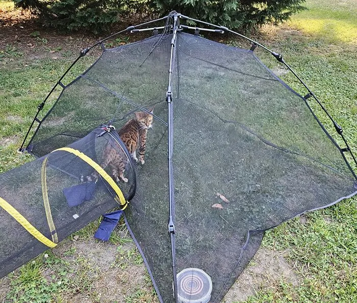 Freedom For Felines (And Peace Of Mind For You)! This <a Style="Display:inline;" Href="Https://Www.amazon.com/Dp/B00ionby3m?ascsubtag=7742895%2c23%2c33%2cd%2c0%2c0%2c0%2c900%3a2%3b974%3a3%3b1125%3a1%3b1338%3a1%3b1352%3a3%2c0%2c0%2c0%2c0&btn_ref=srctok-E9fa5bd64ab4b72d&th=1&linkcode=ll1&tag=bpstingray-20&linkid=3d29e25ebfc8233ee566c700f9fc2201&language=en_us&ref_=as_li_ss_tl" Target="_blank"><span Style="Font: Inherit; Color: #d74b1f;"> Outdoor Cat Enclosures For Indoor Cats </Span> Lets Kitties Safely Explore