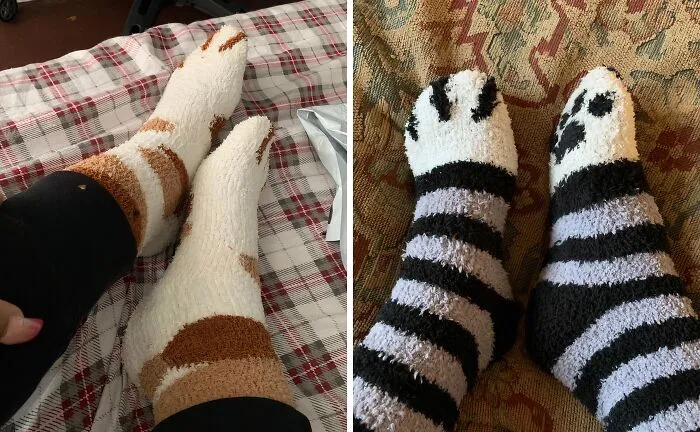 Purr-Fectly Cozy! Slide Into Winter With These Adorably   <a Style="Display:inline;" Href="Https://Www.amazon.com/Loritta-Womens-Christmas-Winter-Slipper/Dp/B081965nb3?ie=utf8&linkcode=ll1&tag=bppony-20&linkid=1795f0a8042ed4a4bfc5a7319adab083&language=en_us&ref_=as_li_ss_tl" Target="_blank"><span Style="Font: Inherit; Color: #d74b1f;"> Fuzzy Cat Paw Socks </Span> That'll Make Your Feet Purr With Joy