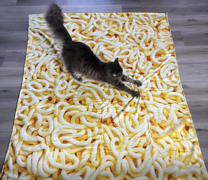  This Kitty Is Right On Trend With His   <a Style="Display:inline;" Href="Https://Www.amazon.com/Sofevaim-Noodles-Flannel-Blanket-Birthday/Dp/B0bj19fqz6?ie=utf8&th=1&linkcode=ll1&tag=bprooster-20&linkid=9c46e7223d1d1b702d7d67cc7c9dd6de&language=en_us&ref_=as_li_ss_tl" Target="_blank"><span Style="Font:inherit;color:#d74b1f;"> Ramen Blanket</Span> Obsession 