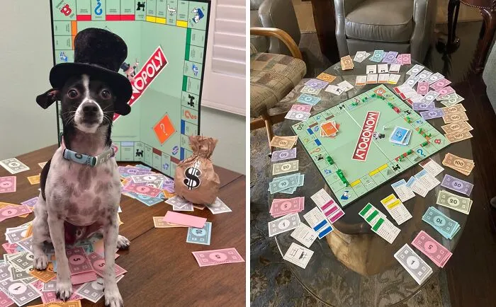 Bankrupt, Broken, Or Hopeful? This   <a Style="Display:inline;" Href="Https://Www.amazon.com/Monopoly-Family-Board-Players-Tokens/Dp/B0b5hlz8t4?dib=eyj2ijoimsj9.jganyvw3oioieojavo8cjileypuh3o_-M5qeqzfiuyqy63euaylxugxwkqltkuzhvzl82i-Cxuv7zlk6l0bowlq-I126xdvkatluvoi1y5yqpg8eko2ovzuefmurfcbzbbelcxcqbq9oesokgh7yc6xalbcnadxrlokjkrcaokcep4stdb2swdroqjcfjvtvczeiorm3f37bgelqis5hjzvoz3njzaifjnbsq0d9m3w4hwdlnwhghdei88_yx8v25gp6ekg_he9u1z_npogevspt3dlfpebl96_5lrdlgp8.-Xubhe39cmylvef6bkaqudddjg2qze2hy7_jvarfk4q&dib_tag=se&hvadid=410037218071&hvdev=c&hvlocphy=9058761&hvnetw=g&hvqmt=e&hvrand=8089728832594128911&hvtargid=kwd-415679915411&hydadcr=7980_11337243&keywords=family+games+amazon&qid=1729077860&sr=8-64&linkcode=ll1&tag=bpcrow-20&linkid=eca49eccd57ae242a42859444b45f9f3&language=en_us&ref_=as_li_ss_tl" Target="_blank"><span Style="Font: Inherit; Color: #d74b1f;"> Monopoly </Span> Game Will Put Your Family's Financial Savvy To The Test, And Possibly End In A Heated Battle Over Park Place