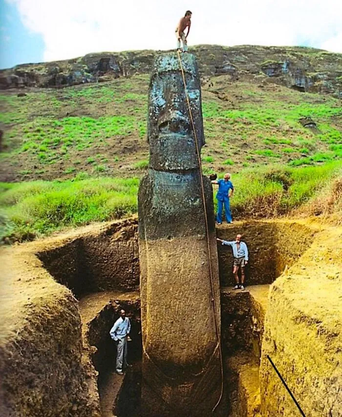 A Fully Unearthed Moai Statue On Easter Island