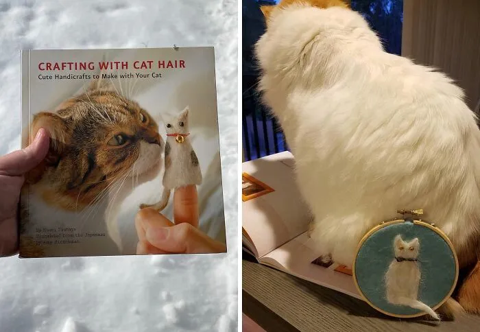 Tired Of Looking Like You're Wearing Your Cat?  This Book,   <a Style="Display:inline;" Href="Https://Www.amazon.com/Dp/1594745250?ascsubtag=7638669%2c11%2c28%2cd%2c0%2c0%2c0%2c900%3a2%3b974%3a3%3b1125%3a1%3b1338%3a1%3b1352%3a1%2c44342103%2c0%2c0%2c0&btn_ref=srctok-8a213b50ba7e213d&linkcode=ll1&tag=bpmonkey-20&linkid=48fbdd89079019e1d2d738dbb730aefb&language=en_us&ref_=as_li_ss_tl" Target="_blank"><span Style="Font: Inherit; Color: #d74b1f;"> Crafting With Cat Hair</Span>, Will Teach You How To Turn That Embarrassing Fur Into Adorable Crafts 
