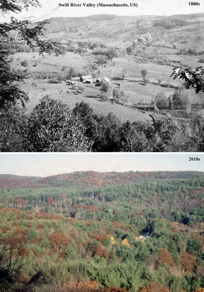 Swift River Valley (Massachusetts, Us) 1880s vs. 2010s
