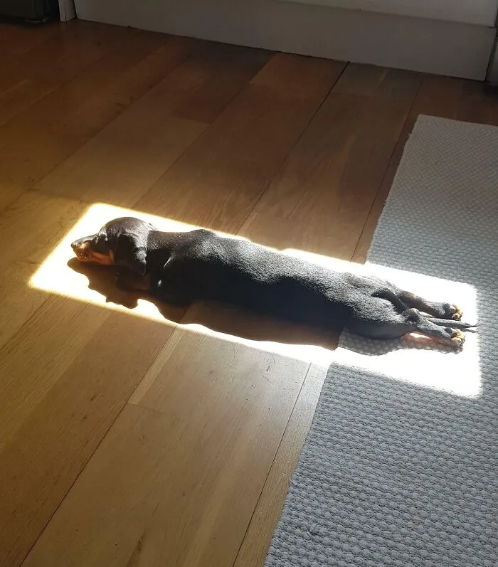 The Perfect Spot