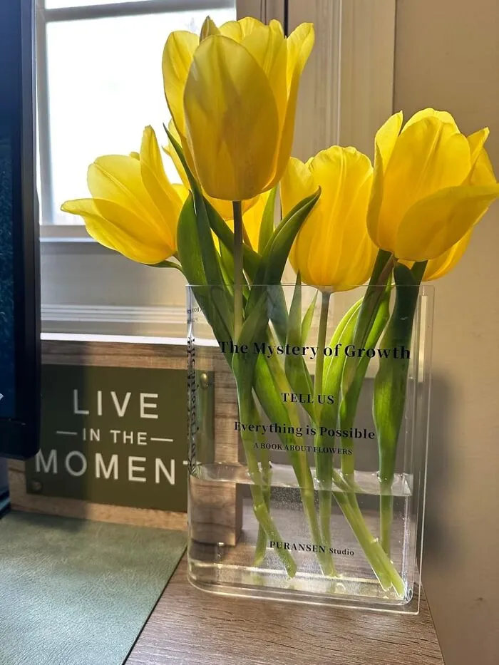 Hold Up Your Favorite Books And Showcase Your Blooms With The Dual-Purpose Charm Of The   <a Style="Display:inline;" Href="Https://Www.amazon.com/Acrylic-Aesthetic-Artistic-Decorations-Centerpieces/Dp/B099pqb6tz?ie=utf8&linkcode=ll1&tag=bpkoala-20&linkid=a78fa98deb937ab848b922f59ce97370&language=en_us&ref_=as_li_ss_tl" Target="_blank"><span Style="Font: Inherit; Color: #d74b1f;"> Bookend Vase For Flowers </Span> - A Lovely Union Of Literature And Botany!
