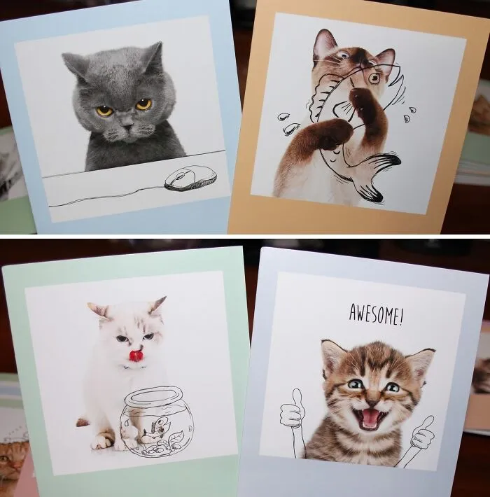 Purr-Fectly Hilarious And Totally Blank, These   <a Style="Display:inline;" Href="Https://Www.amazon.com/Cat-Themed-All-Occasion-Stationery-Congratulations-M4623ocb-B1x10/Dp/B0722q78vb?dib=eyj2ijoimsj9.nmrgvapp_yx7xf5hlnben1jfhl0kp3meuf06u031-Czj5vjkx7dvcgc72vi8snr97fixyvxbukc0l0wwpkk_arryx35_55ktiu9qcm1cdhqa9go9ufltfwqy2q2i2kl_til82t-Wca_3vlfaoovu3vbhobyju59nk7jcwkprrnl4kl3nfjnmbsdu0kegz3fqs6c3dm4vih5-Q5kok9ukjbgvylvscg2opzkrdhgy-Diavdyud8byisulwduwrtjfeyweynrfrw4wmlymfqi6bz64dlmovwnfdjrmrzzfi1a.qz224m9z64gdelzbtwqsoqvzl19lnxri8-Cer4nr0yy&dib_tag=se&keywords=funny%2bstationery&qid=1729578077&sr=8-177&th=1&linkcode=ll1&tag=bpoctopus-20&linkid=d85635e684c5e3fe1729543e6c7713fc&language=en_us&ref_=as_li_ss_tl" Target="_blank"><span Style="Font: Inherit; Color: #d74b1f;"> Funny Blank Cat Cards </Span> Are Just Waiting For Your Witty Words