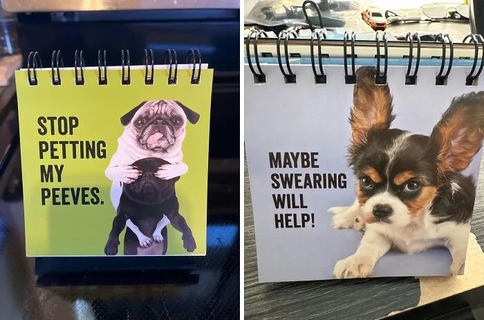 Flip Out With Frustration And Commiserate With The Relatable Ranting Of   <a Style="Display:inline;" Href="Https://Www.amazon.com/Every-Flippin-Day-Destop-Flipbook/Dp/1441329501?crid=32jssic1jehz3&dib=eyj2ijoimsj9.2wjjo9ahrd-Dyliiefpvllfpefscmap2eulnmykjgac3oegdrwpmwsarz1zm-Hrqvkjhfphn5xx0lsnla6fszgcde0keskrf_3dbgmlqtn3dh2fo4-10wdmvp5jfs17a0neh1yejnubnff7vjfafml3uas92z-Lzwu8sx4shipmojrfpgs-Zfakbhww08-Zflz4iqfu7olafu62vl_gbxyseq9duqche6prziqjgkfxnwqsktwlpdn4wccd8xdiwlgiqeepknmezrur9-Yg_kzpjvmqufjhqpgqck-Vojpq.mrktyaclwevuo2qdqgwin69jqkj9oqk2ahhz69bxbck&dib_tag=se&keywords=funny+office+supplies&qid=1729578278&sprefix=funny+office+supplie%2caps%2c209&sr=8-56&linkcode=ll1&tag=bpoctopus-20&linkid=3b7bf9b493626d4bbc7b0f788f3e7f5a&language=en_us&ref_=as_li_ss_tl" Target="_blank"><span Style="Font: Inherit; Color: #d74b1f;"> Every Flippin' Day Desktop Flipbook </Span>