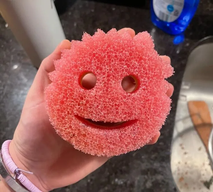 Your In-Laws Are Coming And Your Sink Is A Mess, But Thankfully   <a Style="Display:inline;" Href="Https://Www.amazon.com/Scrub-Daddy-Mommy-Non-Scratch-Multi-Surface/Dp/B0cj1b6d6s?crid=2wnlvh21tn5pf&dib=eyj2ijoimsj9.wckurxpw1ydtp7mexc-Dpjhcqdfkz-L8weoly1tli8wobj9fndtycm5wlmm8v17twwqvbvmrynjjsabcqad8pw0pq4p2bq9ujawzv8i06xm7aqlpdtuc-Dcng4z7j1cbyxqlzrm90eqn0hyookr7lio_ek_0j1ckv-Fu-Lzmlsejobn8axqupe4ccocskxdse2mk1ik1yo8hrpfo4mtlul9rt0mv8efnzpxhinlwop7ndfv4m6syikl7fm5x9xiadm93nwmudw4apcboryrd-Ucbeevquqyhjtuhytdo5ho.oshhddexuxv7uffvym4vkoxg0pryakveiwyslcl9eyi&dib_tag=se&keywords=cleaning&qid=1729582410&rdc=1&sprefix=cleaning%2caps%2c202&sr=8-10&th=1&linkcode=ll1&tag=bpraccoon-20&linkid=61de57e6454a4ece5452adfbd0d4cdeb&language=en_us&ref_=as_li_ss_tl" Target="_blank"><span Style="Font: Inherit; Color: #d74b1f;"> Scrub Daddy Sponges </Span> Are Like The Therapists For Your Dirty Dishes