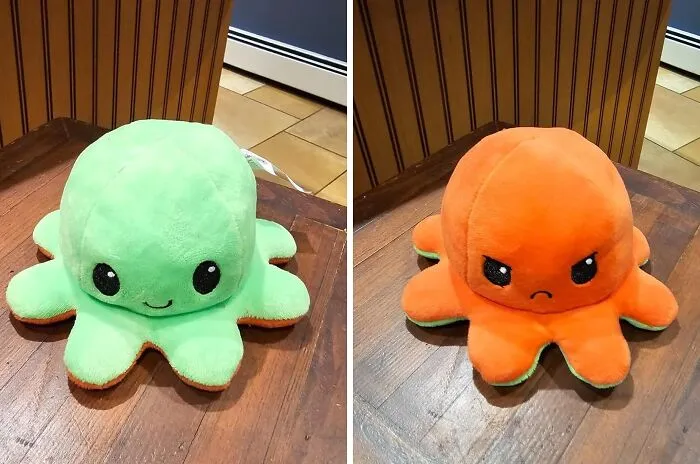 Meet The Ultimate Cuddle Companion - This Adorable And Silly   <a Style="Display:inline;" Href="Https://Www.amazon.com/Teeturtle-Reversible-Octopus-Mini-Plush/Dp/B07h48ynj2?ie=utf8&th=1&linkcode=ll1&tag=bpstarfish-20&linkid=481e72f6b01d7c608de2cc594b841f2e&language=en_us&ref_=as_li_ss_tl" Target="_blank"><span Style="Font: Inherit; Color: #d74b1f;"> Reversible Octopus Plushie </Span> That Changes From Happy To Sad With Just A Flip!