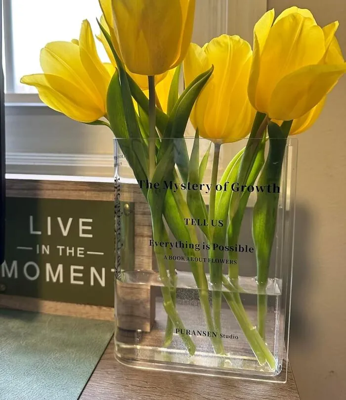 Keep Their Bookshelf Blooming With A <a Style="Display:inline;" Href="Https://Www.amazon.com/Acrylic-Aesthetic-Artistic-Decorations-Centerpieces/Dp/B099pqb6tz?ie=utf8&th=1&linkcode=ll1&tag=bpmouse-20&linkid=dc1e8d9af76c054bff5ebfd8ea07ed50&language=en_us&ref_=as_li_ss_tl" Target="_blank"><span Style="Font: Inherit; Color: #d74b1f;"> Bookend Vase For Flowers </Span>
