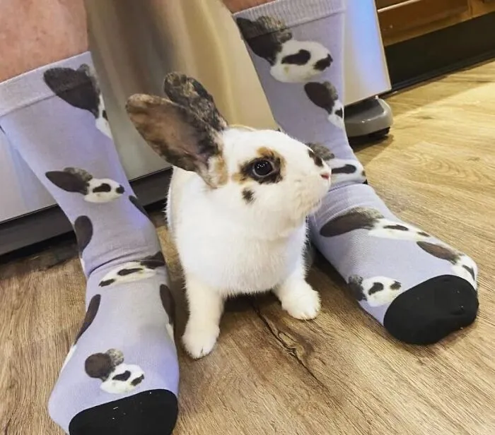 Because They Said They Didn't Want Anything, But You Know They Secretly Want To Wear Your Face On Their Feet - <a Style="Display:inline;" Href="Https://Www.amazon.com/Custom-Picture-Personalized-Customized-Unisex/Dp/B08b1kfbxy?ie=utf8&linkcode=ll1&tag=bpmouse-20&linkid=afc45b0c0d0c9b90547230f9e390d96f&language=en_us&ref_=as_li_ss_tl" Target="_blank"><span Style="Font: Inherit; Color: #d74b1f;"> Custom Socks With Your Face On Them </Span> Is The Ultimate Passive-Aggressive Gift