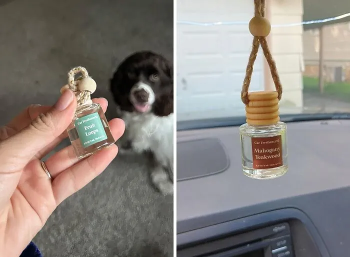 Infuse Your Interior With A Refreshing And Rejuvenating Aroma Using This   <a Style="Display:inline;" Href="Https://Www.amazon.com/Hoogalife-Car-Air-Freshener-Diffuser/Dp/B0d2pccjvk?crid=1qitqvam6gess&dib=eyj2ijoimsj9.uts5_jdqehvpocz4_teeqaedljjkait7q3ls_ki1xwph0w4oab4oz86xvlum-Jk3ahvzrncftdy_p3betehn1fxgusjv1dcomqdv60oxddl8vrkuqhcsppjmicwraaasqhco_ry06gc2ms5nh6awia7rdi31xsr6jtqnhx9ws-Zpbys8mqpfj7ibgzps7_f4f2zedcovppu_bdglylzpoe9njrbmexqqysqplz2l-1zl9clicgu5513vm8u3utox0__ivwdl1xdu1hrynp5ccqb85rwb5rhrj1ycdi-J4ve.jdaipbmjndrdzdnxuqi_fyvzjxeiwni1kigslf1_cbi&dib_tag=se&keywords=best%2bcar%2baccessories&qid=1729664389&sprefix=best%2bcar%2ba%2caps%2c235&sr=8-77&th=1&linkcode=ll1&tag=bpdeer-20&linkid=76520604a9860804db98038839d33299&language=en_us&ref_=as_li_ss_tl" Target="_blank"><span Style="Font: Inherit; Color: #d74b1f;"> Car Air Freshener Diffuser</Span>