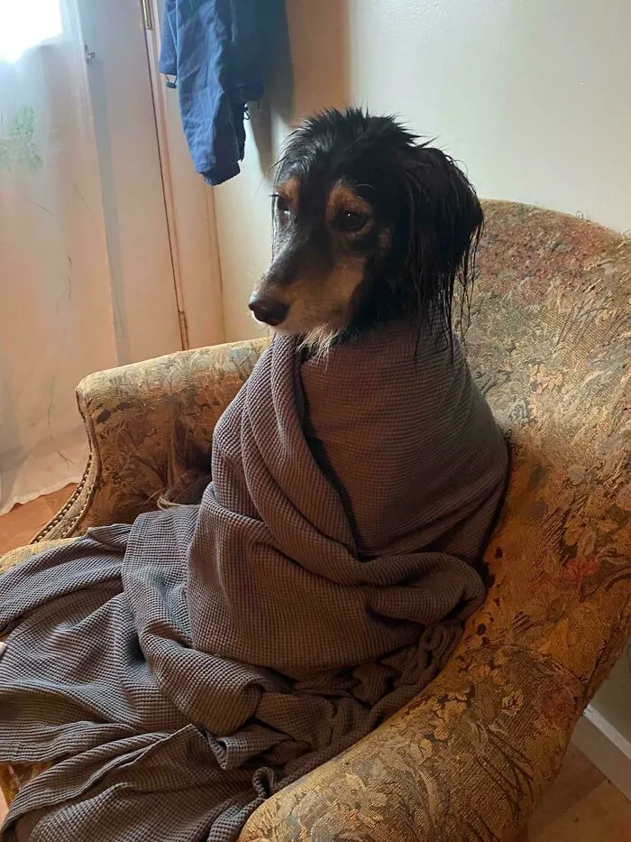 She Doesn’t Like Baths