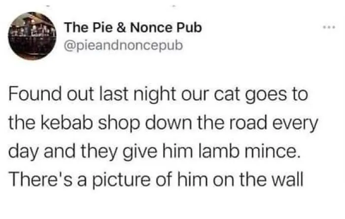 Caught In The Act: 50 Hilarious Posts That Show Cats Being The Jerks We Love (New Pics)