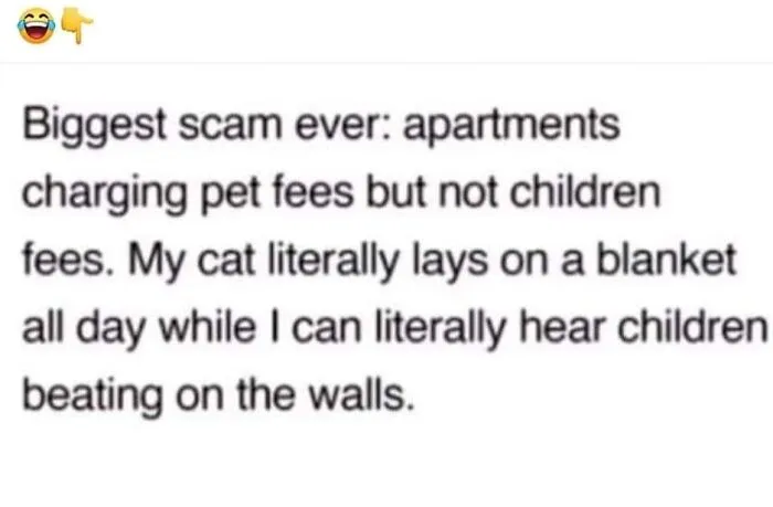 Caught In The Act: 50 Hilarious Posts That Show Cats Being The Jerks We Love (New Pics)