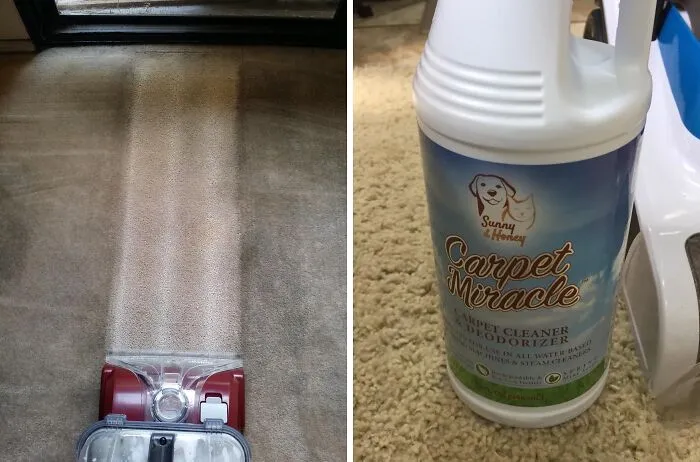 This <span Style="Font: Inherit; Color: #d74b1f;"> Carpet Cleaner Shampoo Solution </Span> Has Deep Cleaned And Refreshed Countless Carpets, Leaving Them Looking Like New