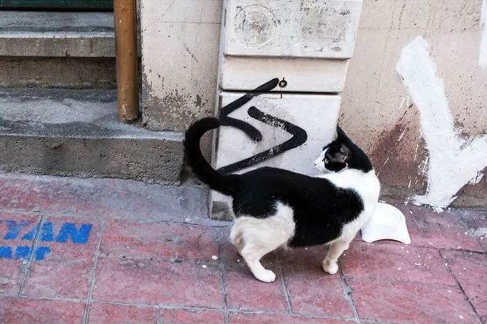 40 New Entertaining Street Photographs By Serkan Tekin Prove That Timing Is Everything