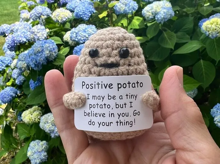 Plant A Seed Of Positivity In A Friend's Life With The <a Style="Display:inline;" Href="Https://Www.amazon.com/Positive-Inspirational-Halloween-Decoration-Encouragement/Dp/B0c2bj26p7?ie=utf8&th=1&linkcode=ll1&tag=bpapple-20&linkid=86af0edfa52ed59314d7602f6dc84cd4&language=en_us&ref_=as_li_ss_tl" Target="_blank"><span Style="Font: Inherit; Color: #d74b1f;"> Positive Potato</Span>