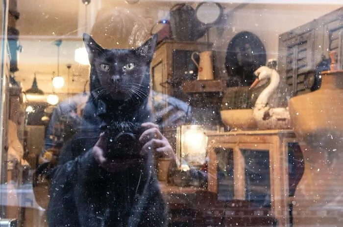 40 New Entertaining Street Photographs By Serkan Tekin Prove That Timing Is Everything