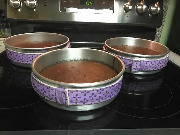 Rise To The Occasion With Perfectly Baked Cakes Every Time Using The <a Style="Display:inline;" Href="Https://Www.amazon.com/Dp/B00c1lu7hw?ascsubtag=6321567%2c24%2c52%2cd%2c0%2c0%2c0%2c900%3a2%3b974%3a1%3b1125%3a2%3b1338%3a1%3b1352%3a1%2c18565932%2c0%2c0%2cgoogle&btn_ref=srctok-B8d8c1c9039b0d44&th=1&linkcode=ll1&tag=bpiguana-20&linkid=7050fa0e01c6046d7c83e35bc4ecaacc&language=en_us&ref_=as_li_ss_tl" Target="_blank"><span Style="Font: Inherit; Color: #d74b1f;"> Bake-Even Cake Strips</Span>