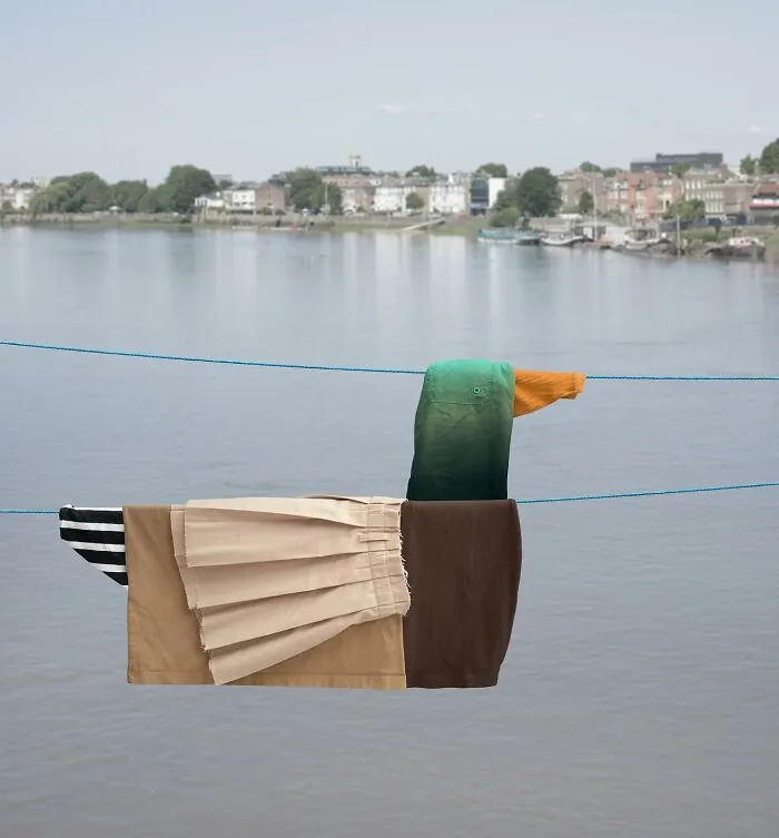 This Artist Created 21 Playful Animals From Laundry And Captured Them In Picturesque Landscapes