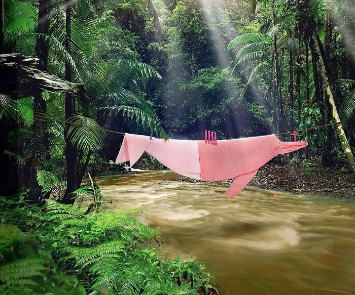 This Artist Created 21 Playful Animals From Laundry And Captured Them In Picturesque Landscapes