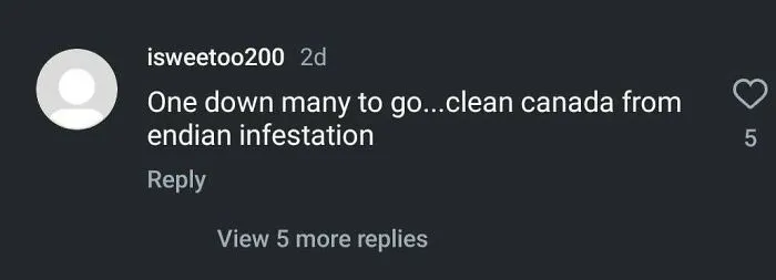 Comments On The Post About A 19 Year Old Indian Girl Getting Burnt In An Oven In Canada 🤡