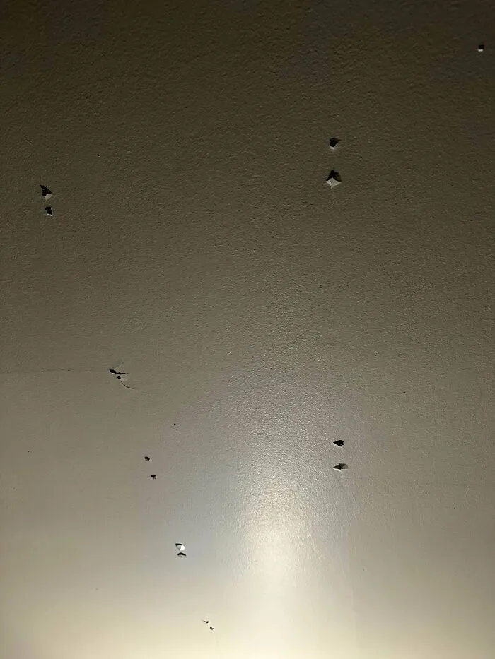 My Upstairs Neighbor Dropped Something Super Heavy And These Popped Up Through My Entire Ceiling