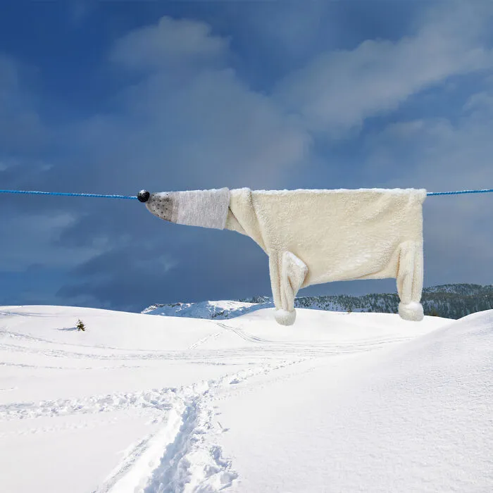 This Artist Created 21 Playful Animals From Laundry And Captured Them In Picturesque Landscapes