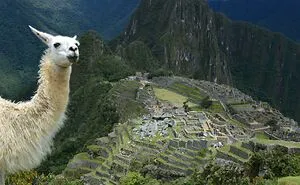 50 Unfortunate Vacation Fails That Were Too Good Not To Share (New Pics)