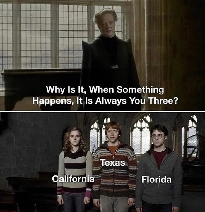 50 Hilarious Random Memes That Grumpy Millennials Might Especially Enjoy
