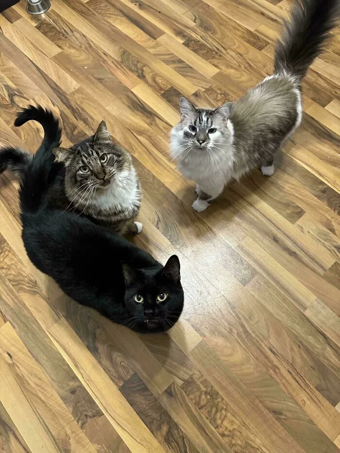 I Say One’s Name And They All Come
