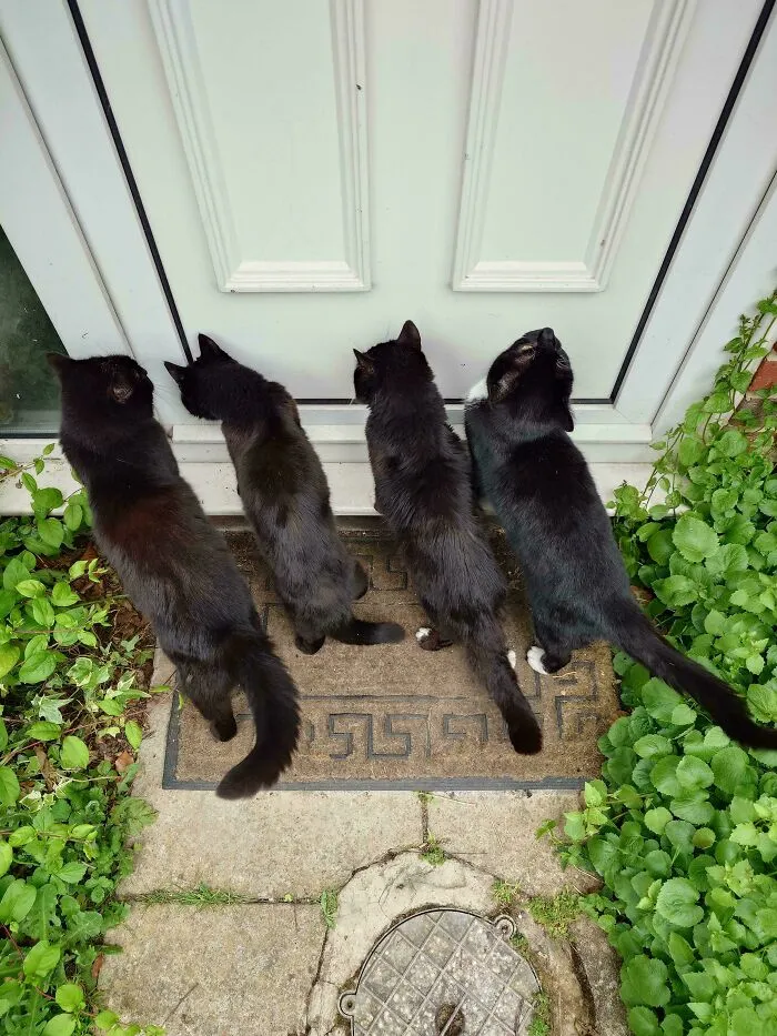 Late For Their Meeting