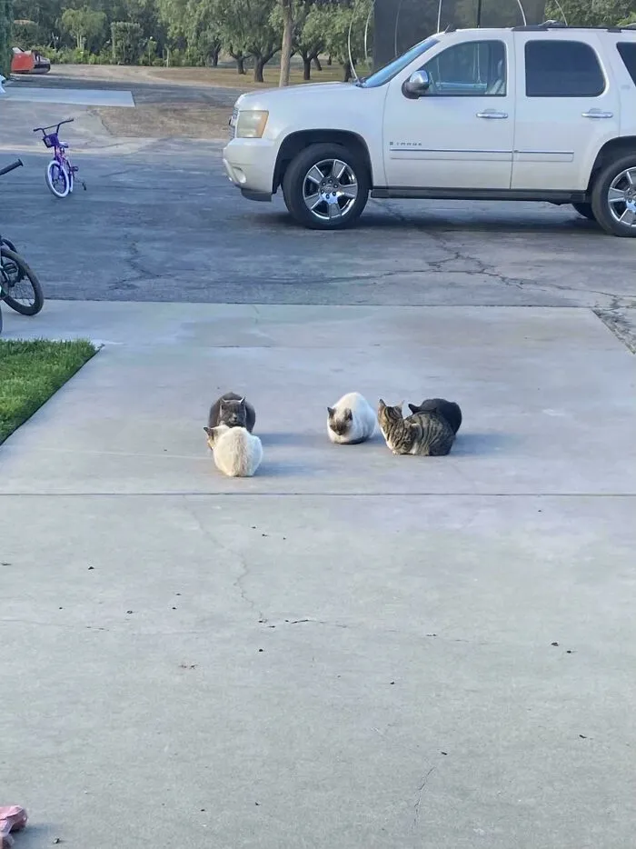 What Is Happening Here? (Wrong Answers Only)