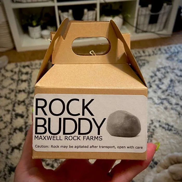 Become The Ultimate Pet Rock Parent With This Bizzare   <a Style="Display:inline;" Href="Https://Www.amazon.com/Rock-Buddy-Training-Manual-Bedding/Dp/B0b2w1qdvv?crid=1gijtzhxs0szj&dib=eyj2ijoimsj9.ei9ur72v5r92vrrb8y0axvsqz5i0dhal9lkqd4k9wh5fp4mji6c-Z-Wag4u5culuyk_9y09k1zkmv5kqzpxccep1hdh6j4vjgy3059ls6ii7egd2phvdomitghdsvl-Glwh2uexib3uwcfxlp09wli9j8pw32jxyje7ngkclvgq3bxi3rvlp4jsvpqe9tplb4wra0ml1ynyulcd_j05yblqm8pawljte_juack0saqedfuofnoqvlmovhmpo3safx2xyjvhfut_kmatmju5dcf9ikpce5zjyb1cruh5mcdk.zzdkxqg1k27t3rgvmqsiyj6zdhanahkfdh9vsfmj4fo&dib_tag=se&keywords=pet+rock&qid=1728454709&sprefix=pet+rock%2caps%2c374&sr=8-4&linkcode=ll1&tag=bpbutterfly-20&linkid=61bc027ab76ba1afec384ac7c9eb6f29&language=en_us&ref_=as_li_ss_tl" Target="_blank"><span Style="Font: Inherit; Color: #d74b1f;"> Rock Buddy With Full Training Manual And Bedding </Span> That Takes Companionship To A Whole New Level Of Absurdity