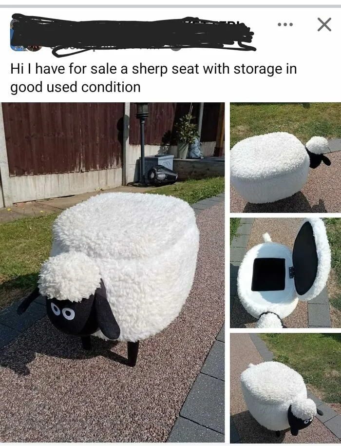 30 Times People Listed Hilariously Wild Ads And Expected To Actually Sell Something