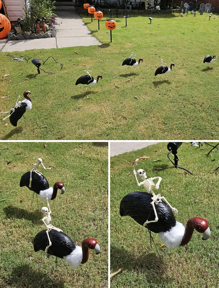 I Made Skeletons Riding Vultures