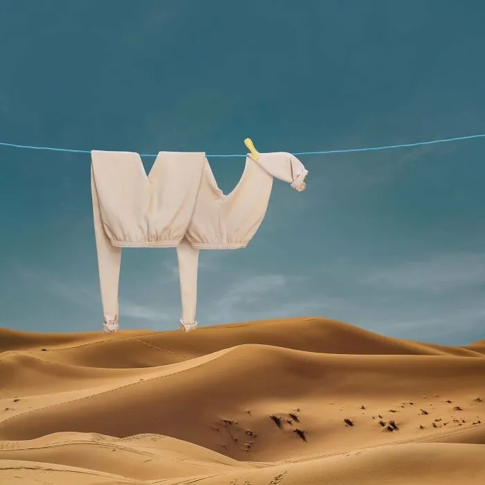 This Artist Created 21 Playful Animals From Laundry And Captured Them In Picturesque Landscapes