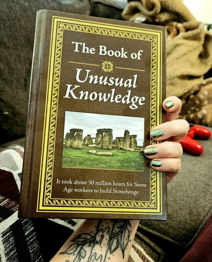 Curiosity Seekers, Rejoice! Delve Into The Weird, Wild, And Wonderful World Of Obscure Facts And Fascinating Trivia With   <a Style="Display:inline;" Href="Https://Www.amazon.com/Unusual-Knowledge-Editors-Publications-International/Dp/1450845800?ie=utf8&linkcode=ll1&tag=bpgnu-20&linkid=9481d2bd8753fe881091c3084ab167ae&language=en_us&ref_=as_li_ss_tl" Target="_blank"><span Style="Font: Inherit; Color: #d74b1f;"> The Book Of Unusual Knowledge </Span>