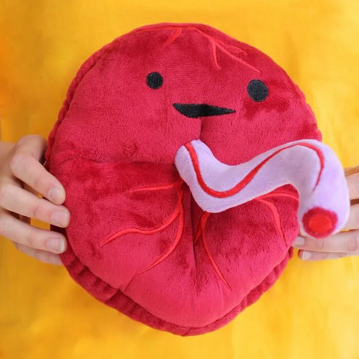 Snuggle Up With Your Baby's Former Womb-Mate Using This Disturbingly Cuddly   <a Style="Display:inline;" Href="Https://Www.amazon.com/Dp/B00uzksz8y?ascsubtag=default&linkcode=ll1&tag=bpbutterfly-20&linkid=00b4152dd1b1d5d5cddaf333588603d5&language=en_us&ref_=as_li_ss_tl" Target="_blank"><span Style="Font: Inherit; Color: #d74b1f;"> Placenta Plush : Baby's First Roommate </Span> That Takes Sentimental Keepsakes To A Whole New Level Of Cringe